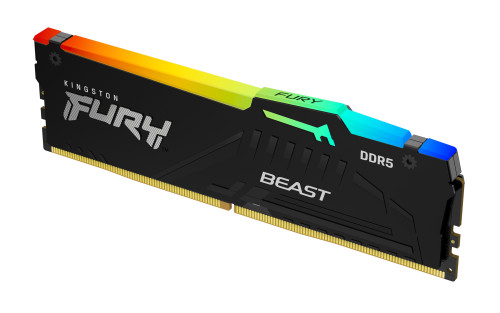 Kingston Fury Beast Rgb 32gb Ddr5 Ecc